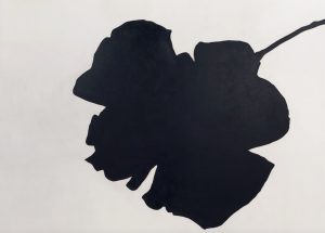 kounellis fiore su tela