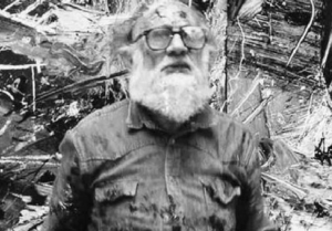 emilio vedova artista