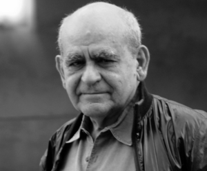 gino marotta artista