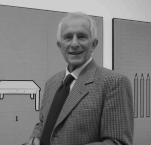 tino stefanoni artista